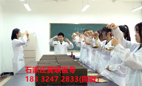 石家莊冀聯(lián)醫(yī)學(xué)院2026年護(hù)理專業(yè)學(xué)費介紹