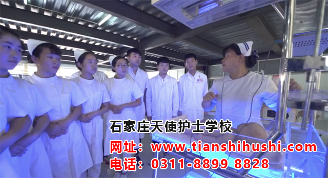 2026年石家莊天使護士學(xué)校報名錄取條件