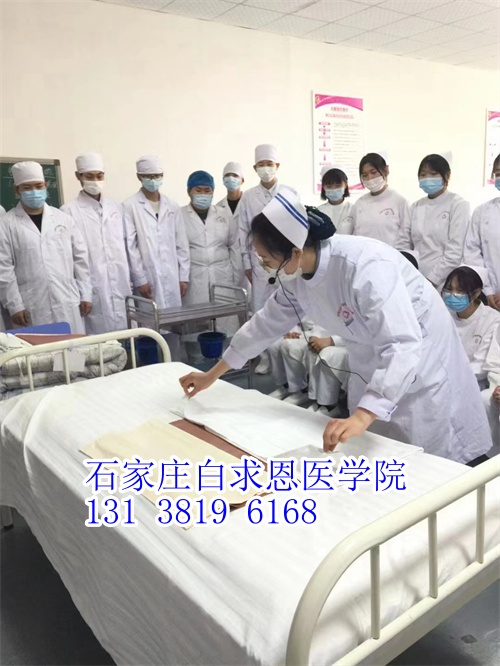 河北對(duì)口高考和對(duì)口單招有什么不同？